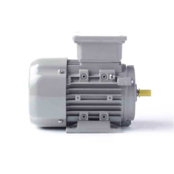 德國AC MOTOREN防火防爆電機E3-ASA 160 MA 2